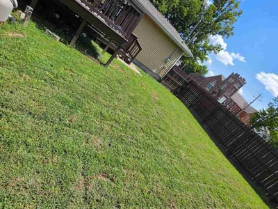Lawn Care service in O Fallon, 62269
