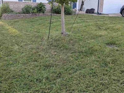 Lawn Care service in Collinsville, 62234