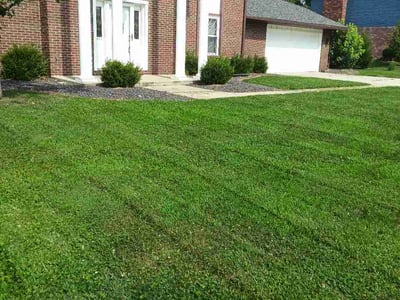 Lawn Care service in Collinsville, 62234