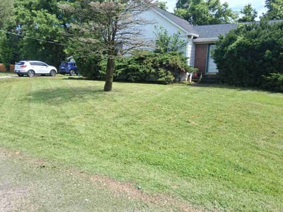 Lawn Care service in Belleville, 62220