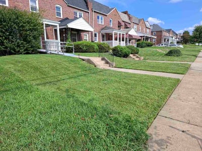 Lawn Care service in Suitland, 20746