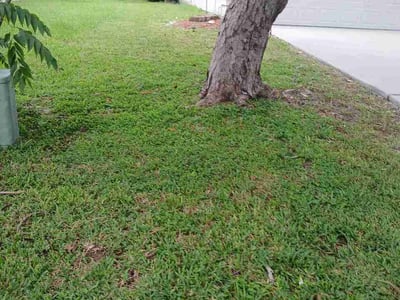 Lawn Care service in Milpitas, 95035