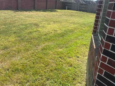 Lawn Care service in Coppell, 75019