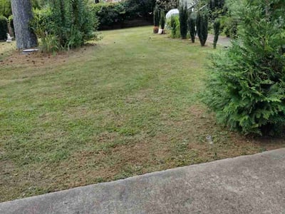 Lawn Care service in Londonderry, 03053