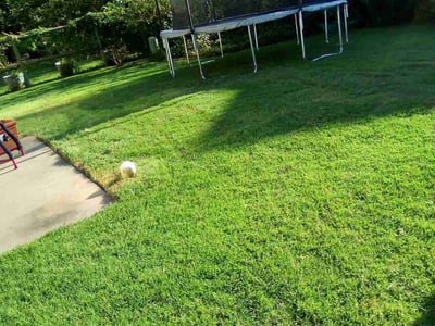 Lawn Care service in Londonderry, 03053