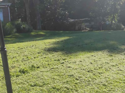 Lawn Care service in Pikesville, 21208