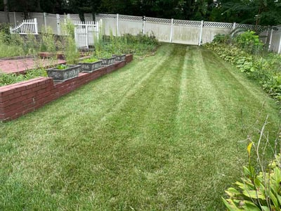 Lawn Care service in Silver Spring, 20910