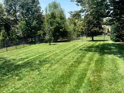Lawn Care service in Franklin, 37064