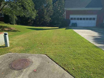 Lawn Care service in Tustin, 92780