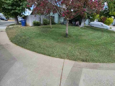 Lawn Care service in Antelope, 95843