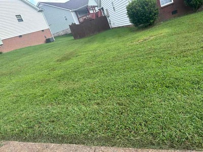 Lawn Care service in Kingston Springs, 37082