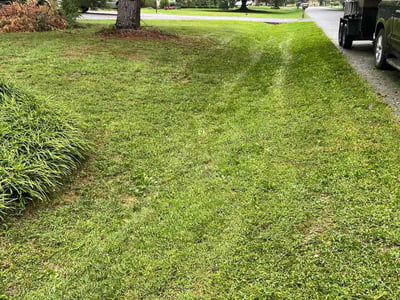 Lawn Care service in Frederick, 21701