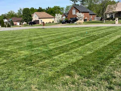 Lawn Care service in Gallatin, 37066