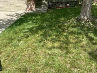 Lawn Care service in Thousand Oaks, 91362