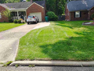 Lawn Care service in Painesville, 44077