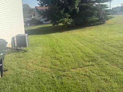Lawn Care service in Ramona, 92065