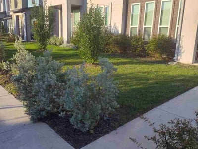 Lawn Care service in Granger, 76530