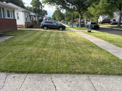 Lawn Care service in Parma Heights, 44130