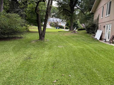 Lawn Care service in Kenmore, 98028