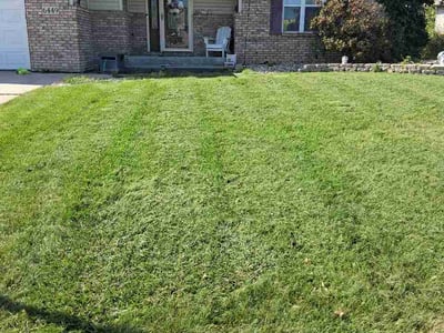Lawn Care service in Griffith, 46319