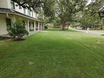 Lawn Care service in Cedar Creek, 78612