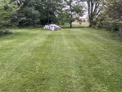 Lawn Care service in Merrillville, 46410