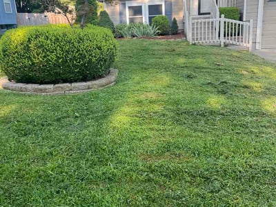 Lawn Care service in Marshfield, 65706