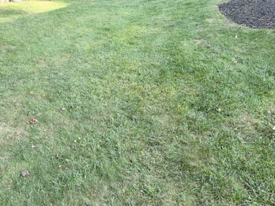 Lawn Care service in Aurora, 44202