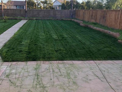 Lawn Care service in Lake Elsinore, 92530