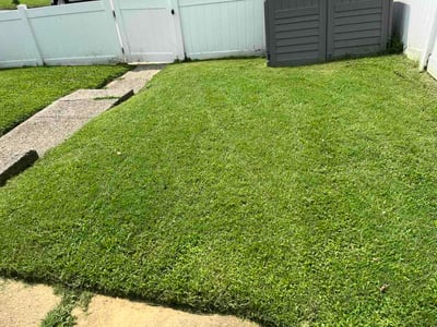 Lawn Care service in Hamilton, 45011
