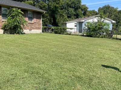 Lawn Care service in Dickson, 37055