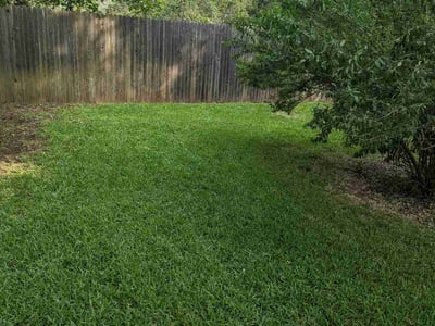 Lawn Care service in Bastrop, 78602