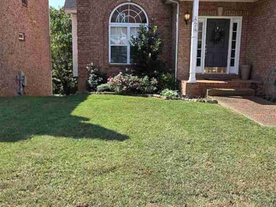 Lawn Care service in Brentwood, 37027