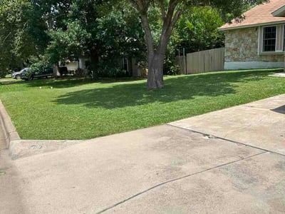Lawn Care service in Bastrop, 78602