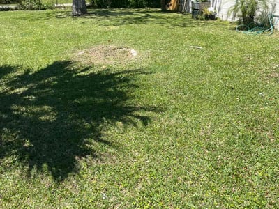 Lawn Care service in Irvine, 92606