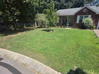 Lawn Care service in Pleasant View, 37146
