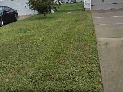 Lawn Care service in Brentwood, 37027