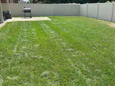Lawn Care service in Murfreesboro, 37129