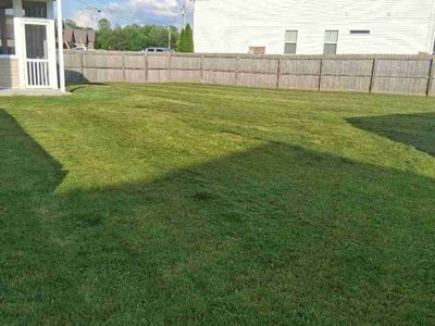 Lawn Care service in Lebanon, 37087