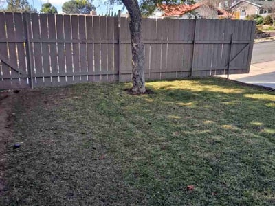 Lawn Care service in La Mesa, 91942