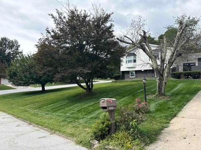 Lawn Care service in Ellicott City, 21043