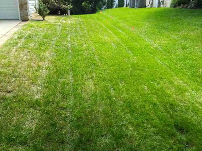 Lawn Care service in Ellicott City, 21043