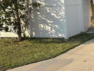 Lawn Care service in La Mesa, 91942