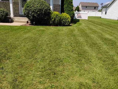 Lawn Care service in Lowell, 46356