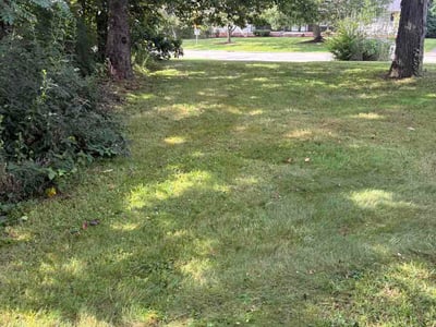 Lawn Care service in North Olmstead, 44070