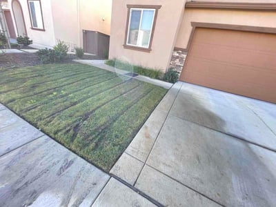 Lawn Care service in Lincoln, 95648