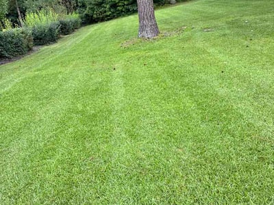 Lawn Care service in Smithfield, 27577