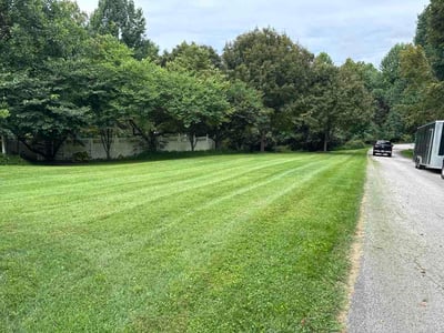 Lawn Care service in Halethorpe, 21227