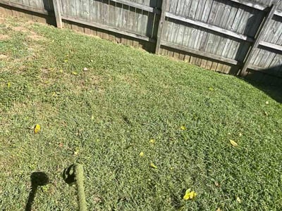 Lawn Care service in Woodbury, 37190