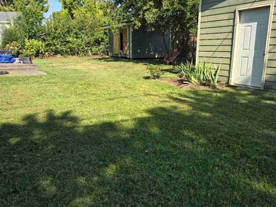 Lawn Care service in White Bluff, 37187